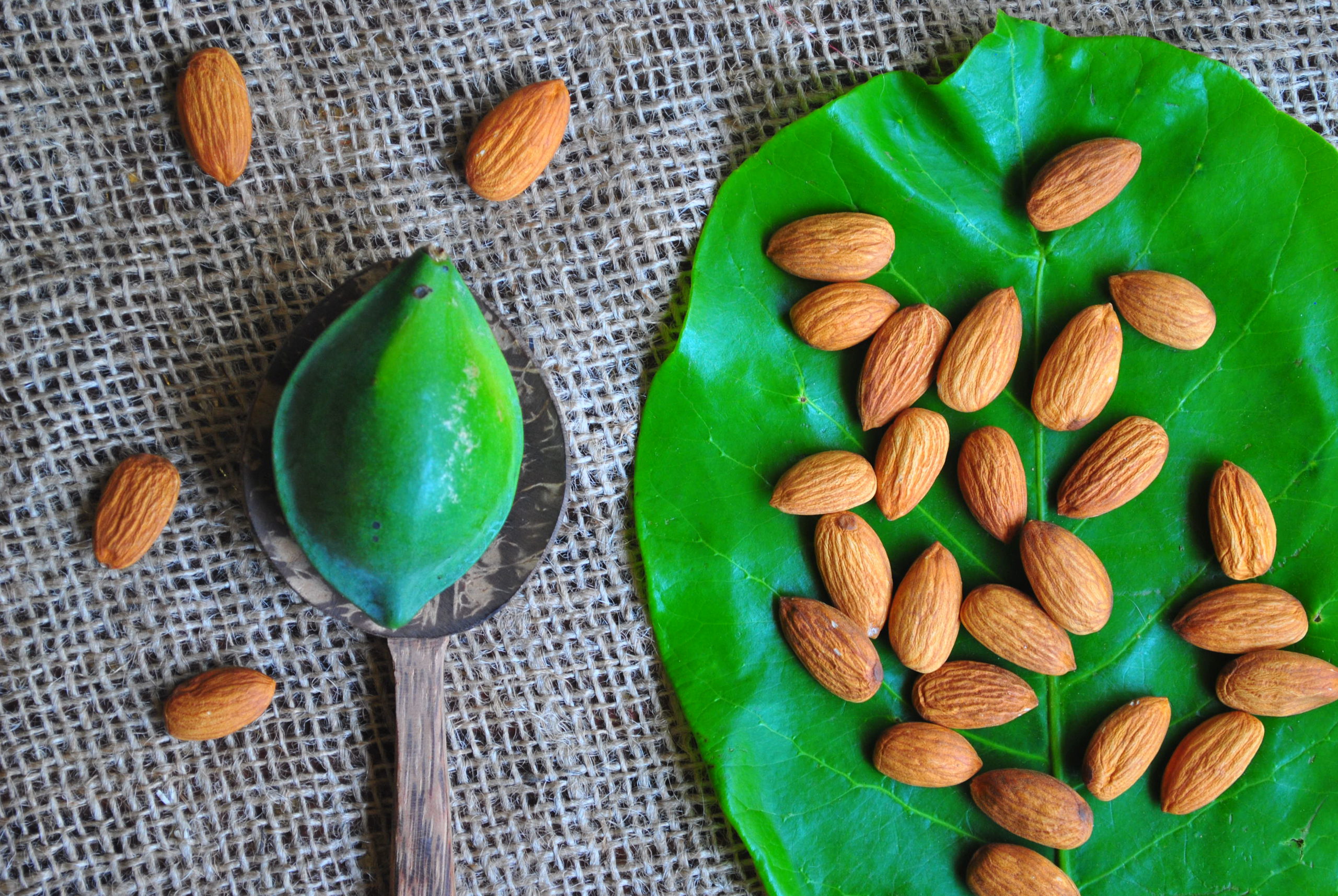 Almond milk, Buy almonds online, Zantye's almonds